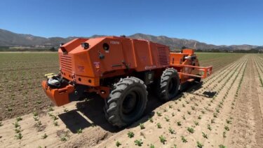 FarmWise Titanによる自律型除草の実証実験｜農業ロボットの導入事例