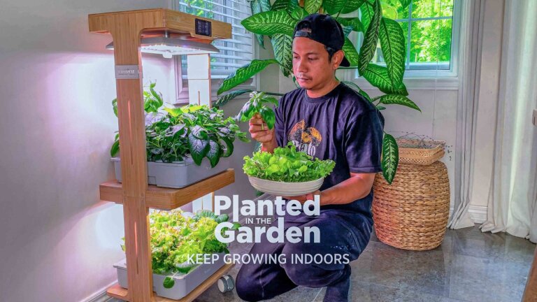 Keep Growing Indoors with LetPot LPH-Home 32-Pod Hydroponic System