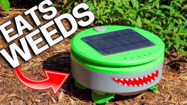 Tertillロボットによる除草｜家庭菜園の手間を大幅軽減
