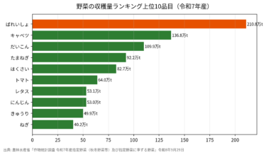 野菜41品目の収穫量ランキング【令和7年産】総計1,169万t・たまねぎ-18%・キャベツ137万t