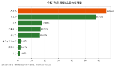 果樹8品目の収穫量【令和7年産】みかん65.6万t(+17%)・りんご57.7万t(-5%)・都道府県別