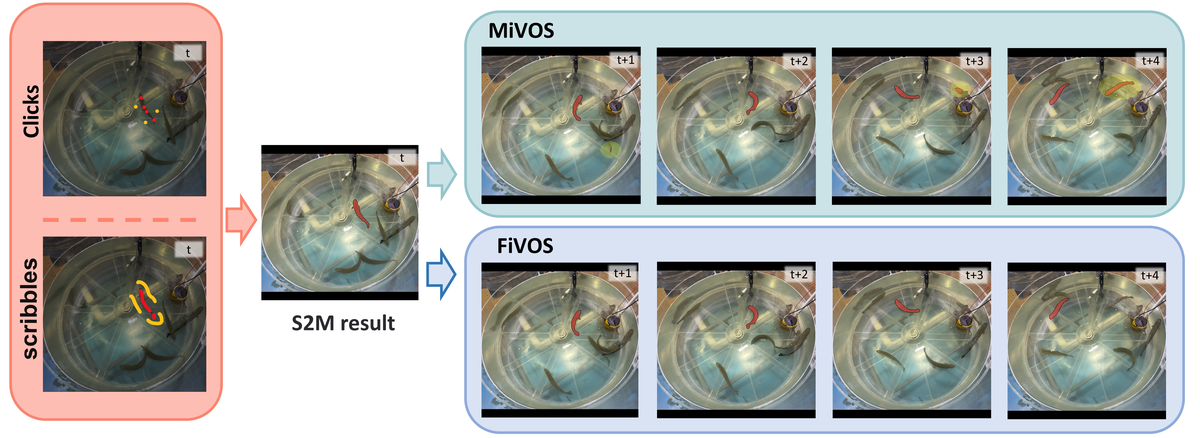 論文より引用（2610.01480v1・手法：FiVOSと二重フィルター構造に関連）