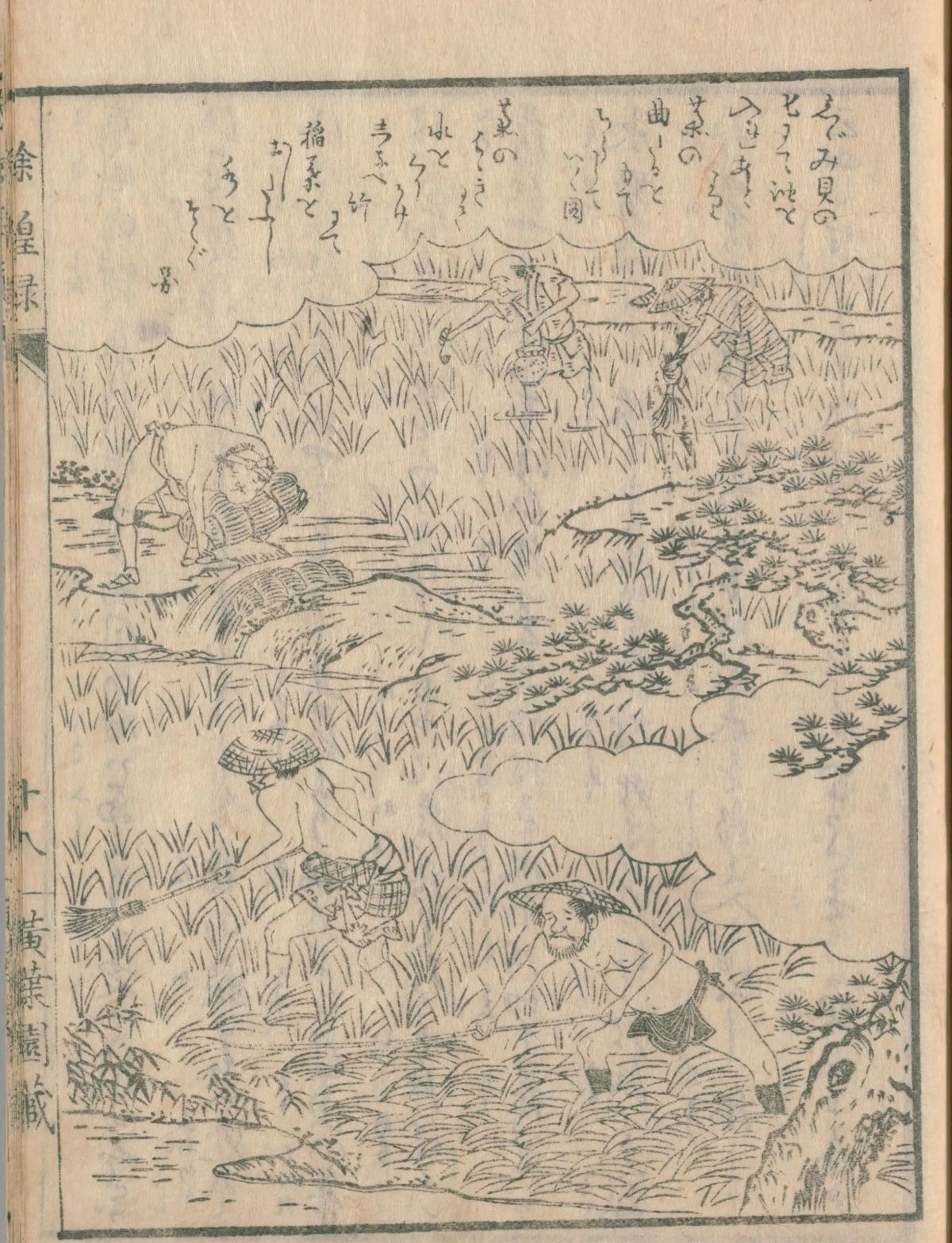 『除蝗録』の挿絵。田に油を注ぎ、竹で稲を払って虫を水面に落とす農民たち