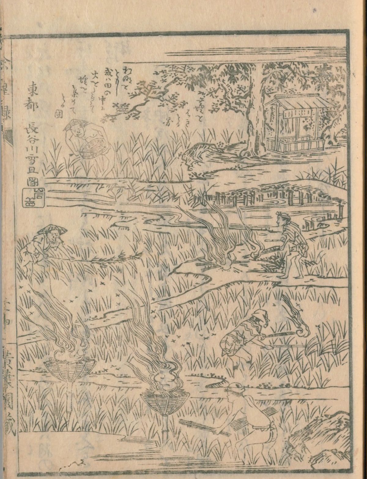 『除蝗録』の挿絵。夜の田に竹の籠形の篝火を立て、明かりに集まる虫を捕る様子(長谷川雪旦画)