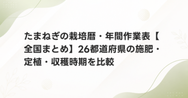 たまねぎの栽培暦・年間作業表【全国まとめ】26都道府県の施肥・定植・収穫時期を比較