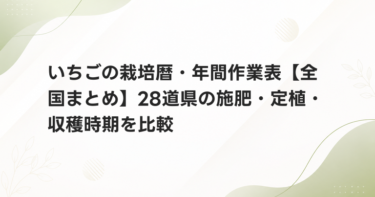いちごの栽培暦・年間作業表【全国まとめ】28道県の施肥・定植・収穫時期を比較