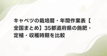 キャベツの栽培暦・年間作業表【全国まとめ】35都道府県の施肥・定植・収穫時期を比較