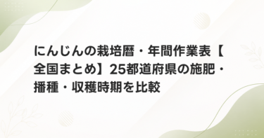 にんじんの栽培暦・年間作業表【全国まとめ】25都道府県の施肥・播種・収穫時期を比較