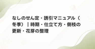 なしのせん定・誘引マニュアル（冬季）｜時期・仕立て方・側枝の更新・花芽の整理