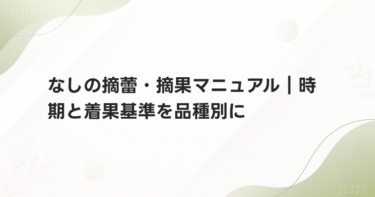 なしの摘蕾・摘果マニュアル｜時期と着果基準を品種別に