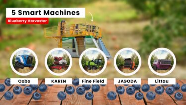 ブルーベリー収穫機械5選｜人手不足解消と自動化の最新技術
