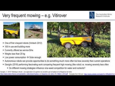 ブドウ園向け自律ロボットと電動トラクターの現状｜海外事例から学ぶ導入ポイント