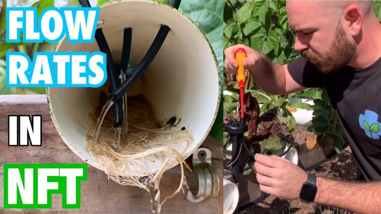 Flow Rates in Nutrient Film Technique Hydroponic Systems