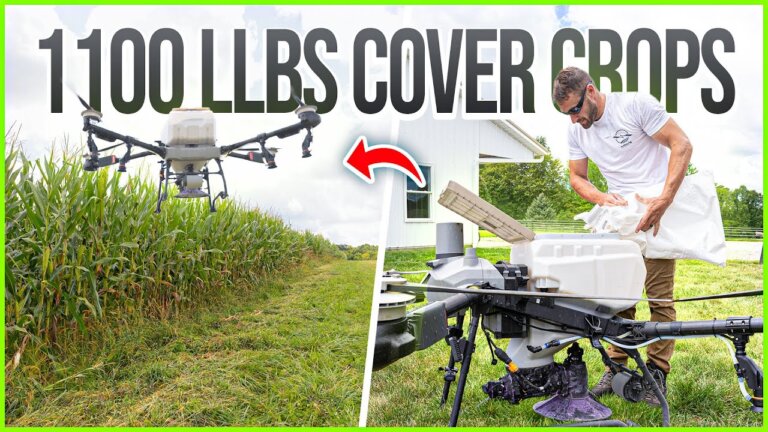 Drone Spreads 1,100 lbs of Cover Crop Seed Over Standing Corn!