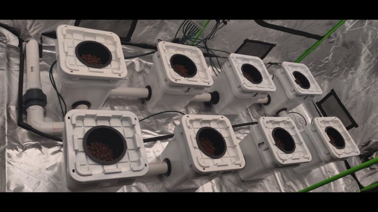 Full 4x8 grow tent RDWC setup. Using 8 5 Gallon buckets FULL DIY hydroponics video.