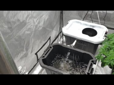 【注目】2槽式RDWC水耕栽培の構築手順｜バルクヘッドの漏水防止と冷却対策