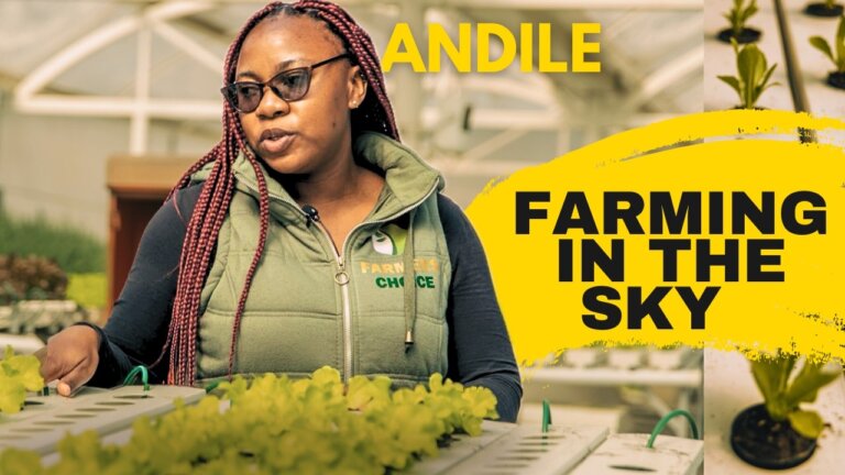 Episode. 1 | Genius Hydroponic Farm on a Mall Rooftop