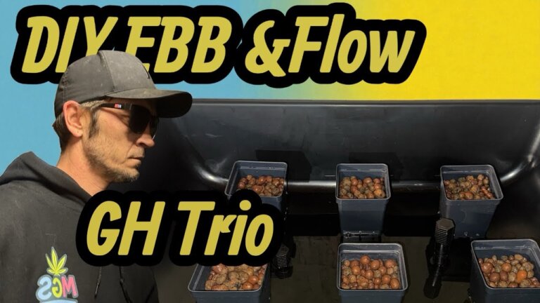 DIY Ebb & Flow Hydroponic System Build | 27-Gallon Tote Setup + General Hydroponics Trio Nutrients