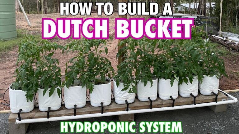 How to Build a Dutch Bucket Hydroponic System