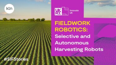 ラズベリー収穫ロボットの実用化｜人手不足解消と選別技術