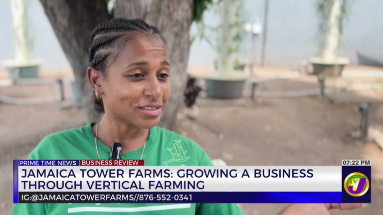 Jamaica Tower Farms: Growing A Business Through Vertical Farming | Business Review