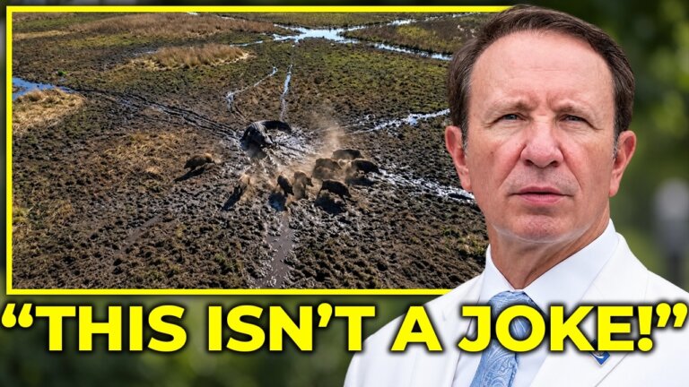 A Drone Caught What's Killing Louisiana's Feral Hogs — Farmers Didn't Expect This!