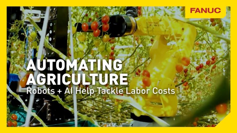 Automating Agriculture Greenhouse Turns to Robots for Tomato Harvesting