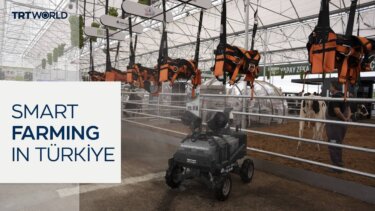 トルコの農業テック集積地｜搾乳ロボットとAI病害診断の最新事例