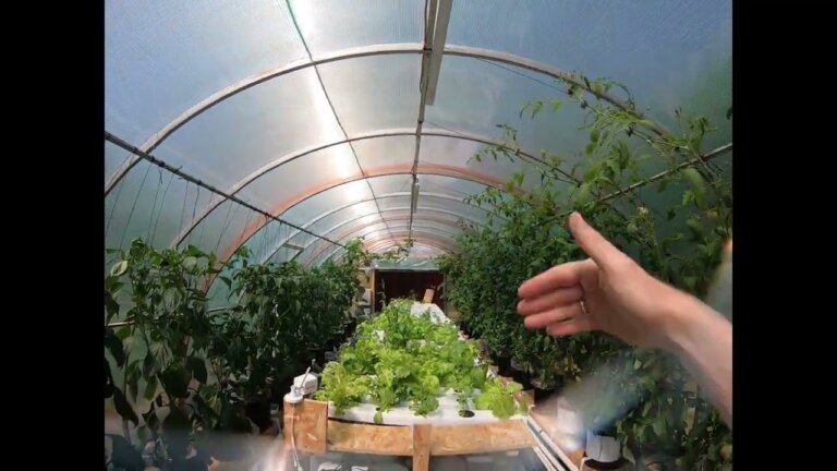 Automated and energy self-sustaining hydroponic greenhouse