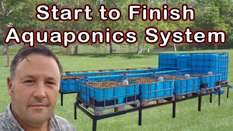 AQUAPONICS - Step by Step Instructions - From Start to Finish