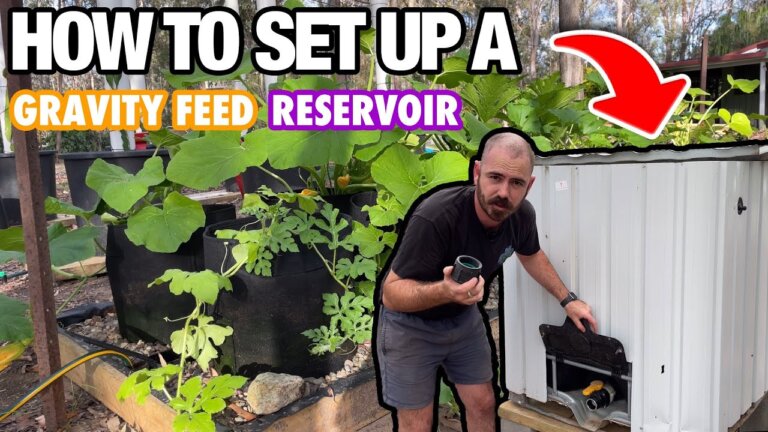 How to Set Up a Gravity Feed IBC Hydroponic Reservoir