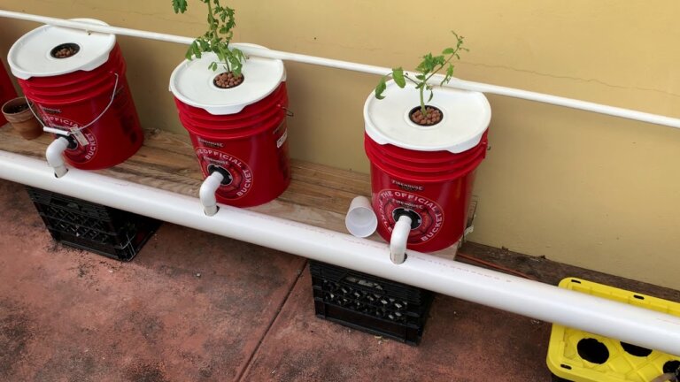 How I Built My DWC System - Recirculating Deep Water Culture - Hydroponic Peppers & Tomatoes EASY