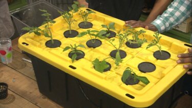 【再生数600万回突破】低コスト水耕栽培の自作手順｜PVCと噴霧器で構築