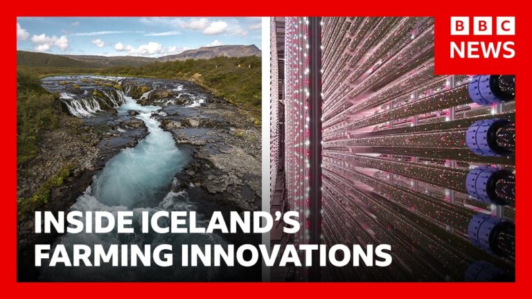 Inside Iceland's farming innovations | BBC News