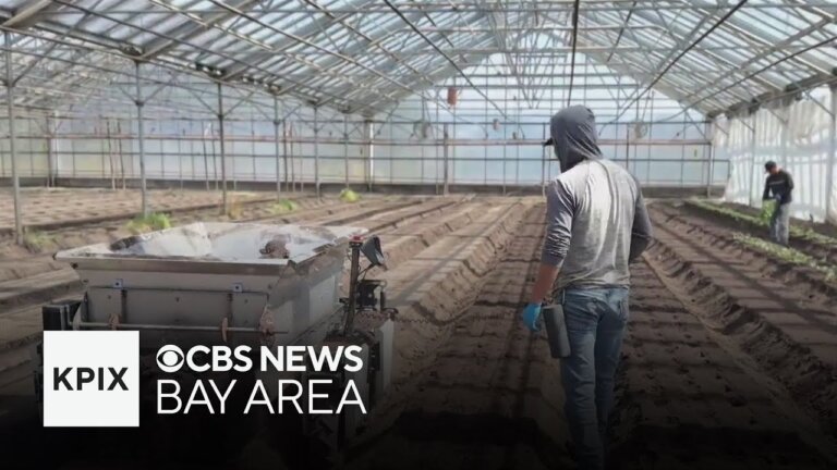 Central California farmer wants to replace workers with robots amid labor shortage