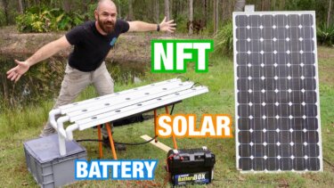 太陽光発電で動くNFT水耕栽培の構築｜12Vリチウム電池とMPPT制御の設計