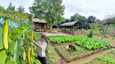 【再生数800万回突破】75日間の農作業記録｜牛糞肥料と竹支柱で野菜を育てるコツ