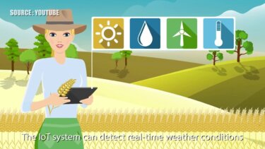 農業IoTの基礎｜気象・土壌データをリアルタイム管理し収量安定化へ