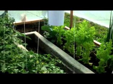 【注目】アルドゥーノで温室を自動化｜換気・給水・地温管理の制御設計