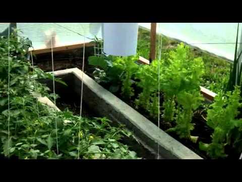 Arduino Greenhouse mrk 2