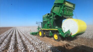【再生数300万回突破】米国の綿花収穫現場｜ストリッパー方式と自動ベール打包の効率