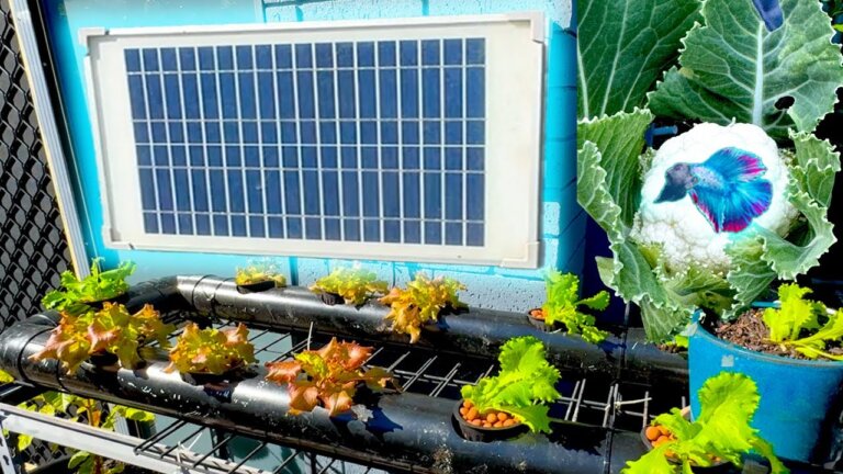 DIY SOLAR HYDROPONICS SYSTEM THAT WORKS!